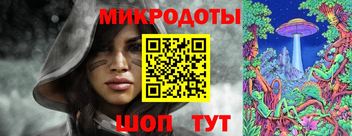 Псилоцибиновые грибы Psilocybe  Вход с VPN  Кубинка 
