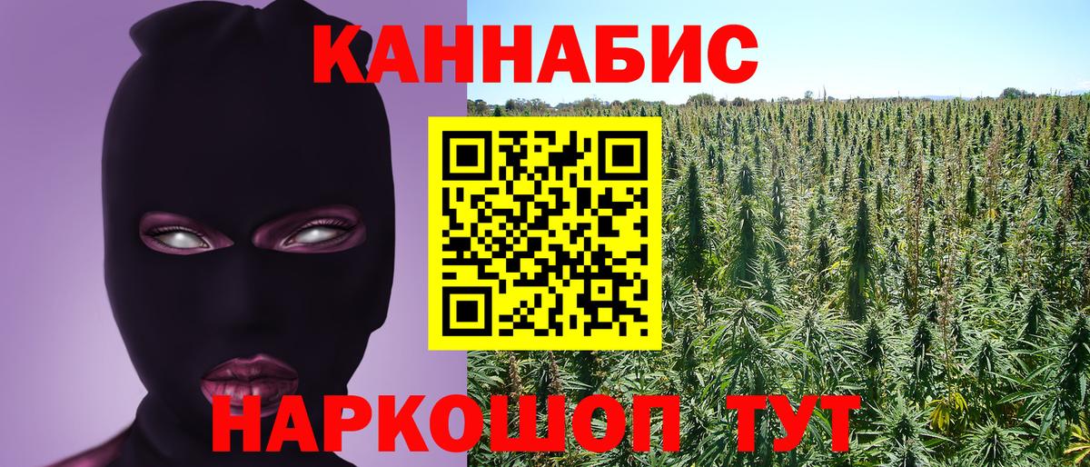 Конопля индика Кубинка